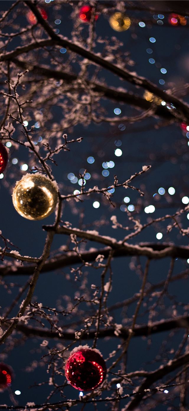 1125x2436 selective focus photography of baubles - lights iPhone 11 Wallpaper