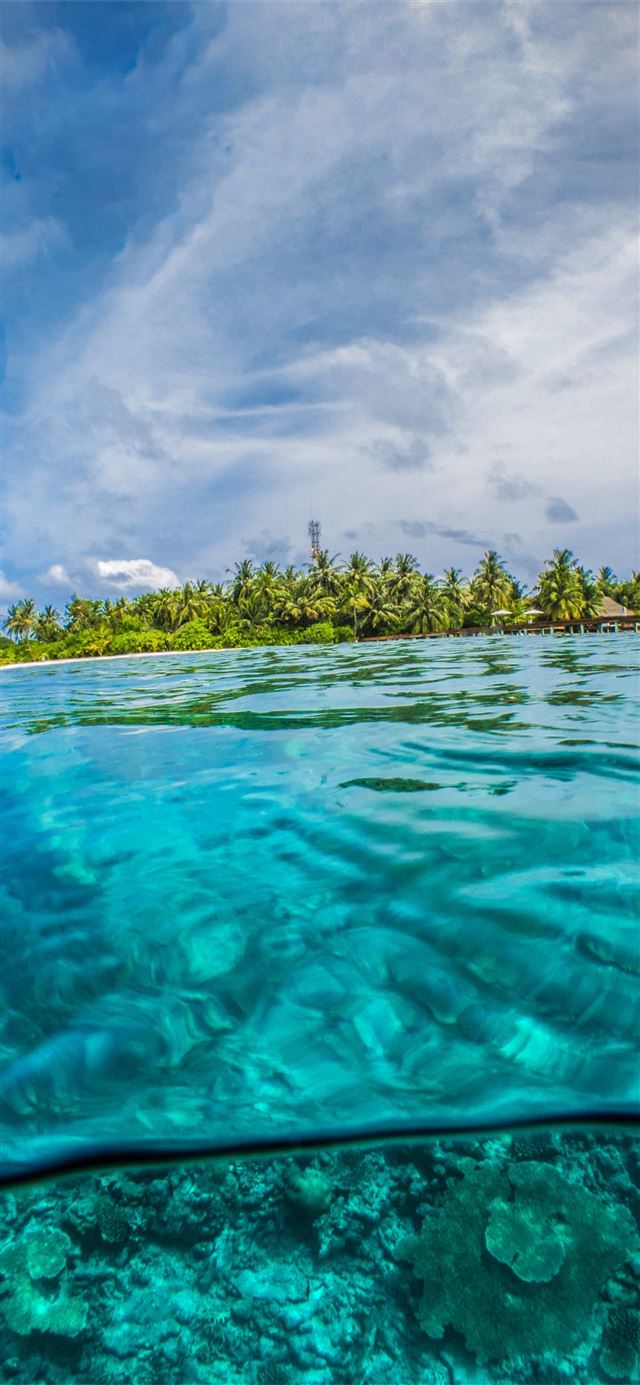 1125x2436 green leafed trees surrounded by body of water dur... - maldives iPhone 11 Wallpaper