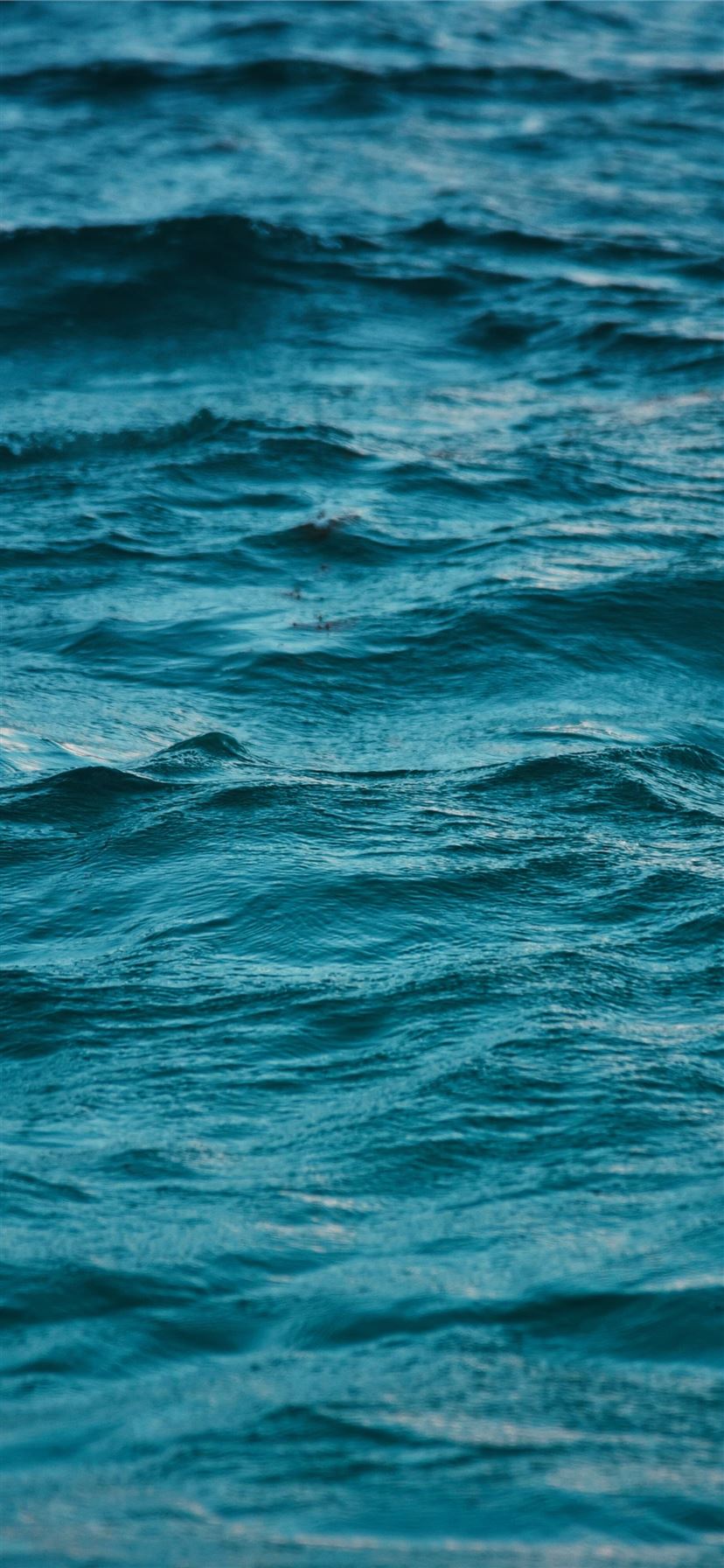 body of water during daytime iPhone 11 wallpaper 