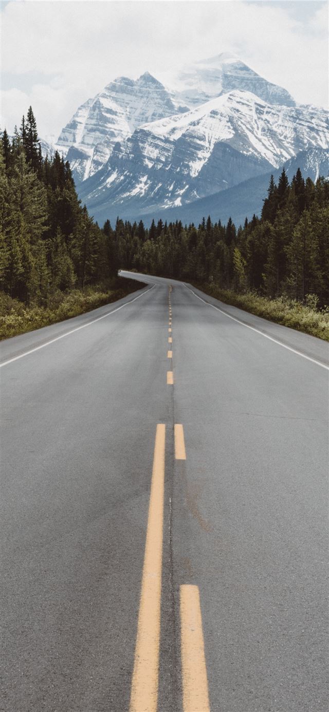 1125x2436 gray pavement road surrounded by trees taken at da... - grey iPhone 11 Wallpaper