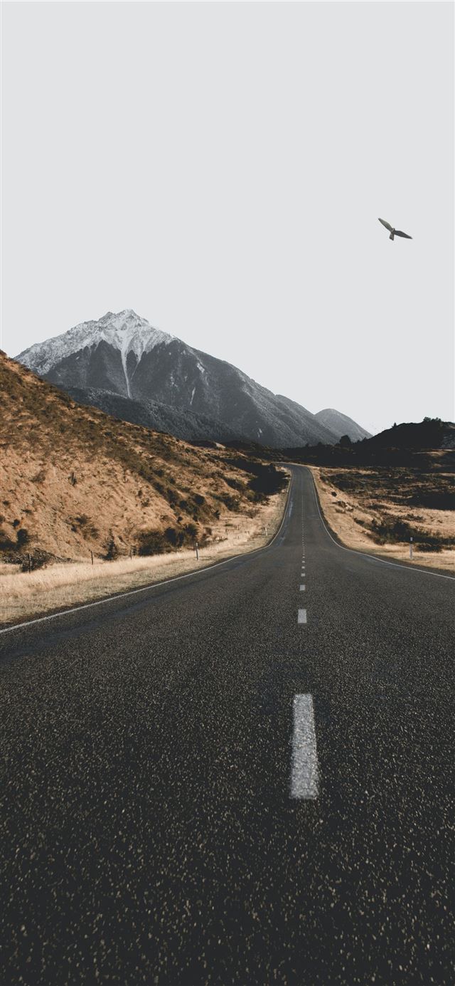 1125x2436 landscape of asphalt road - winter iPhone 11 Wallpaper