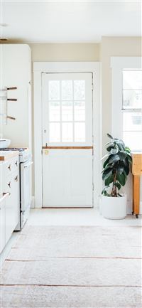 green potted leaf plant beside white wooden door wallpaper