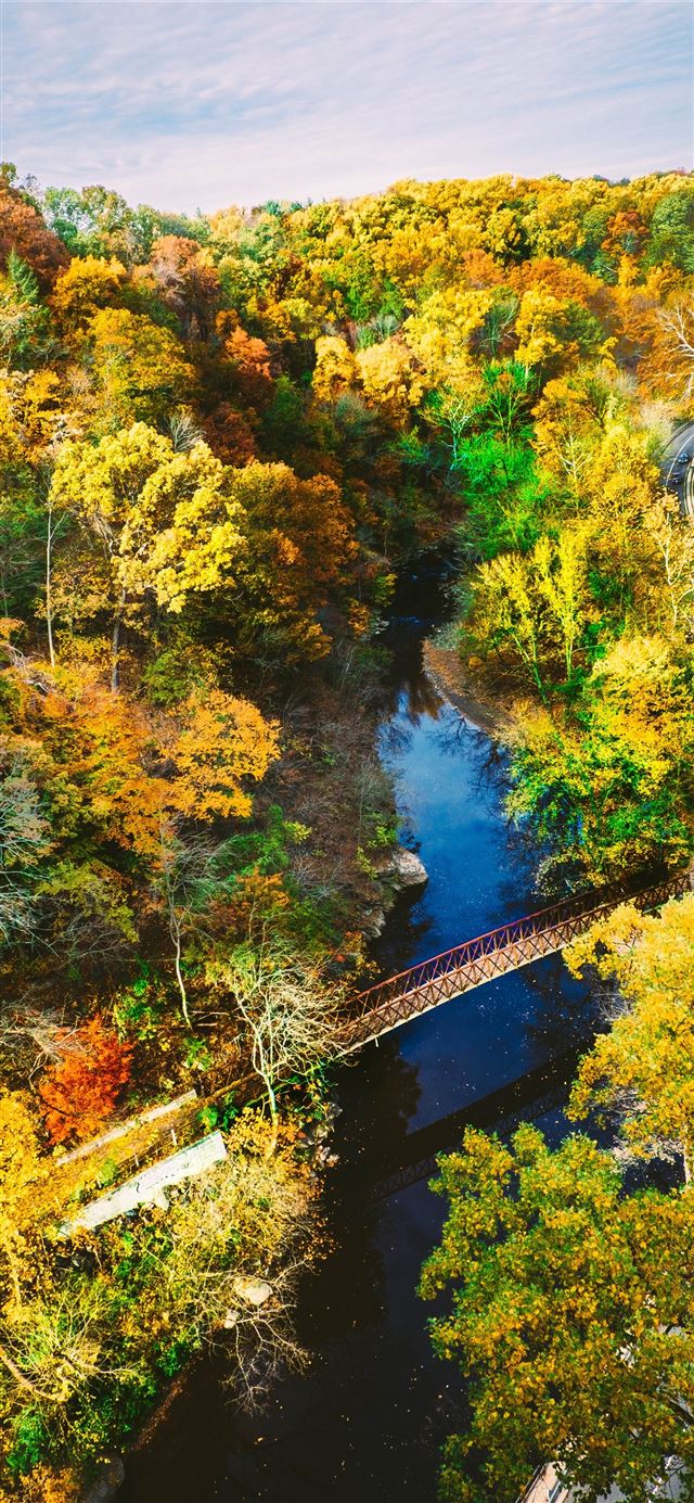 1125x2436 aerial photography of brown metal bridge surrounde... - trees iPhone 11 Wallpaper