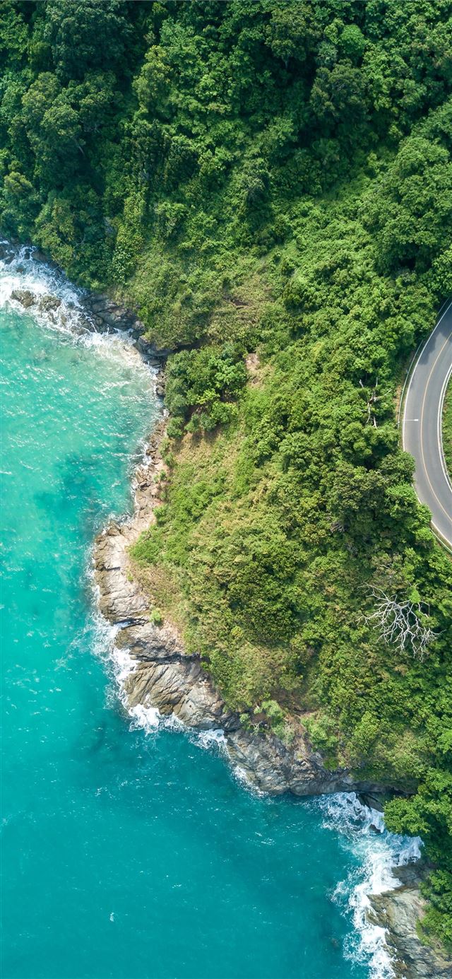 1125x2436 bird's eye photography of road near near body of w... - green iPhone 11 Wallpaper