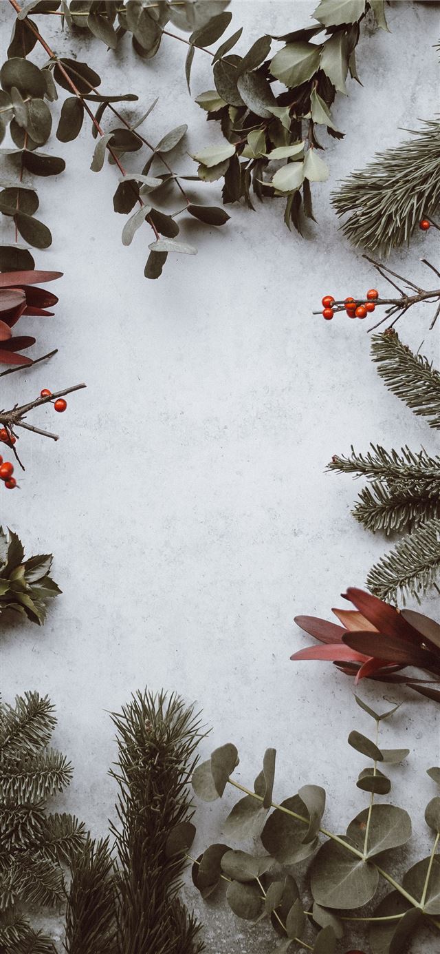 1125x2436 green leafed plants - winter iPhone 11 Wallpaper