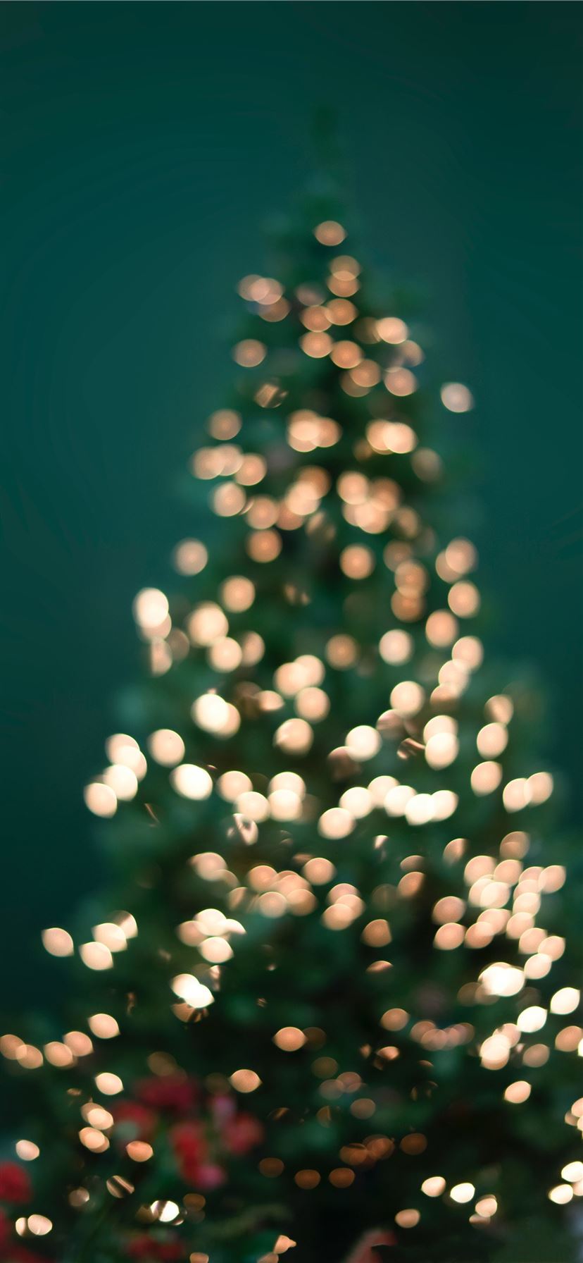 boke photography of christmas tree and string ligh... iPhone 11 wallpaper 