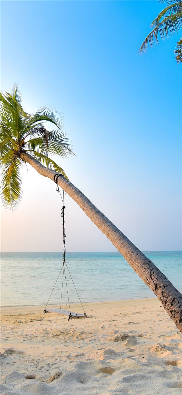 1125x2436 swing hang on coconut tree near seashore - maldives iPhone 11 Wallpaper