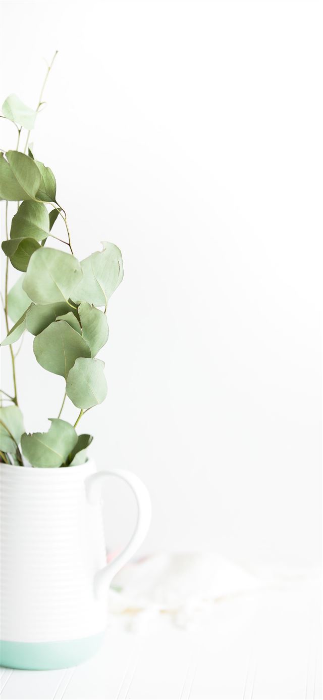 1125x2436 green plant potted on white ceramic vase - green iPhone 11 Wallpaper