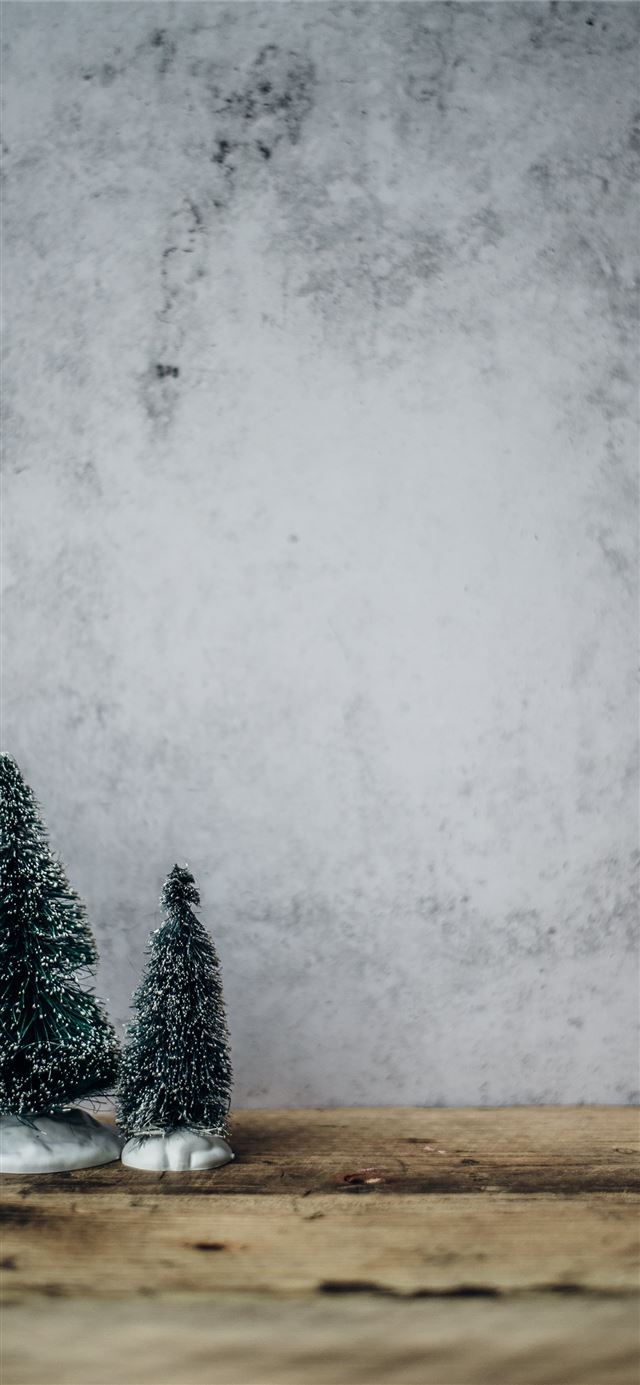 1125x2436 three green pine tree miniature near gray concrete... - winter iPhone 11 Wallpaper