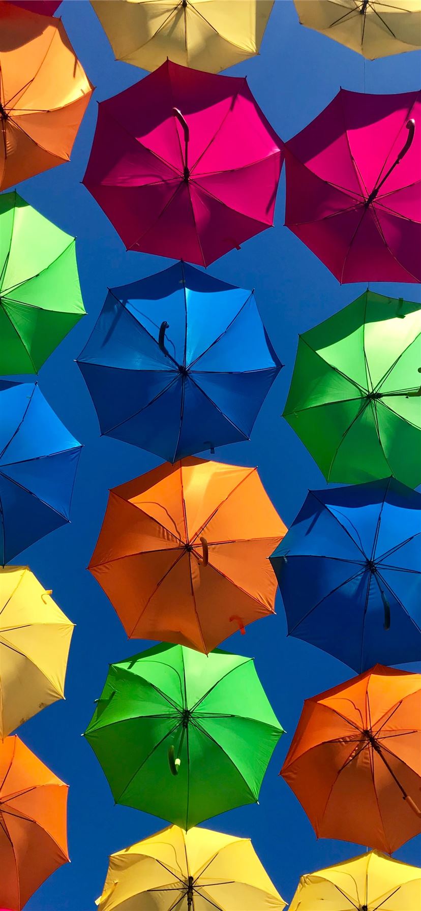 assorted colored umbrellas iPhone 11 wallpaper 