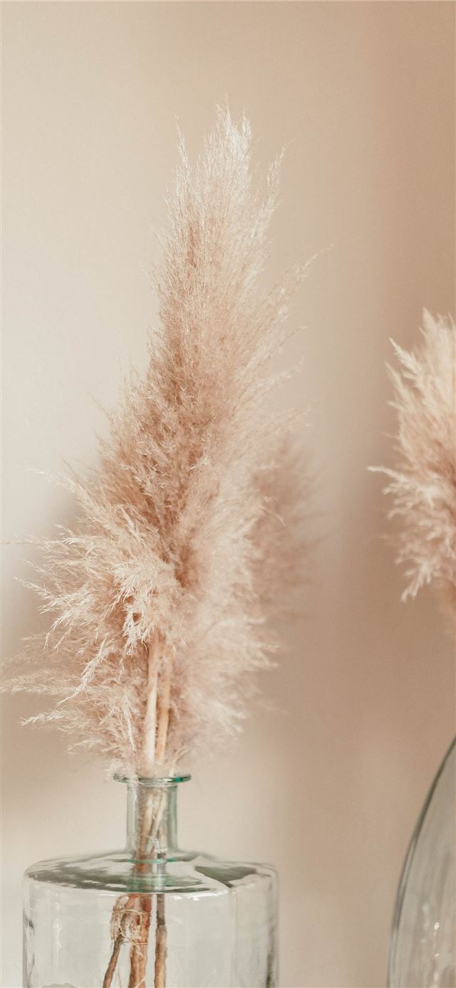 1125x2436 two clear glass bottles - brown iPhone 11 Wallpaper