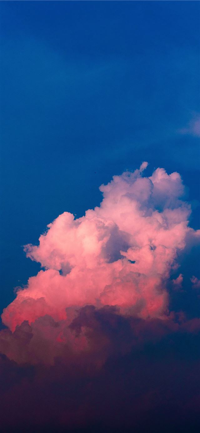 1125x2436 selective photo of white and blue sky - blue iPhone 11 Wallpaper