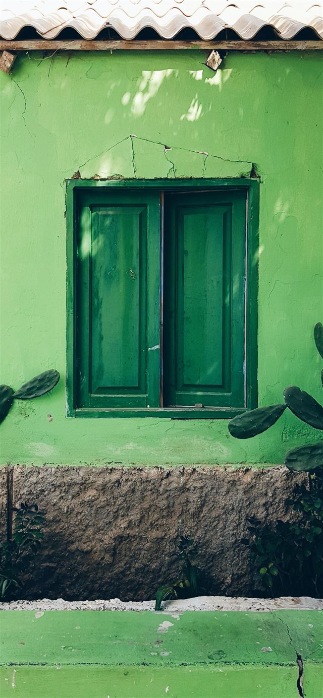 1125x2436 closed green wooden window - green iPhone 11 Wallpaper