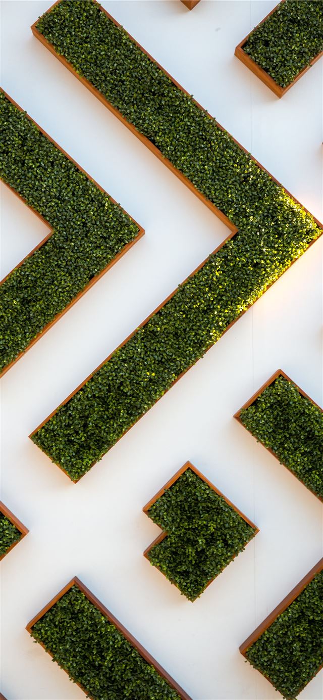 1125x2436 bird's eye view of maze garden - pattern iPhone 11 Wallpaper