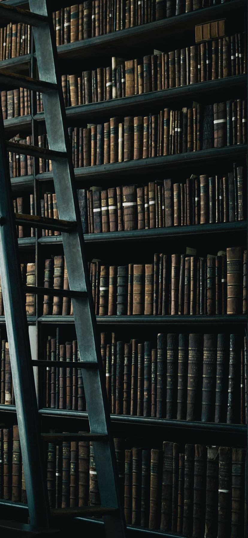 library shelf near black wooden ladder iPhone 11 wallpaper 