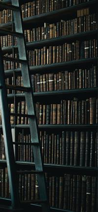 library shelf near black wooden ladder iPhone 11 wallpaper