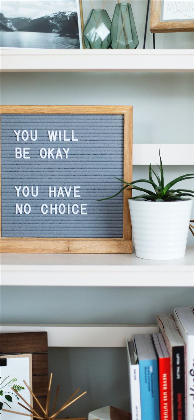 1125x2436 You will be okay you have no choice box - books iPhone 11 Wallpaper