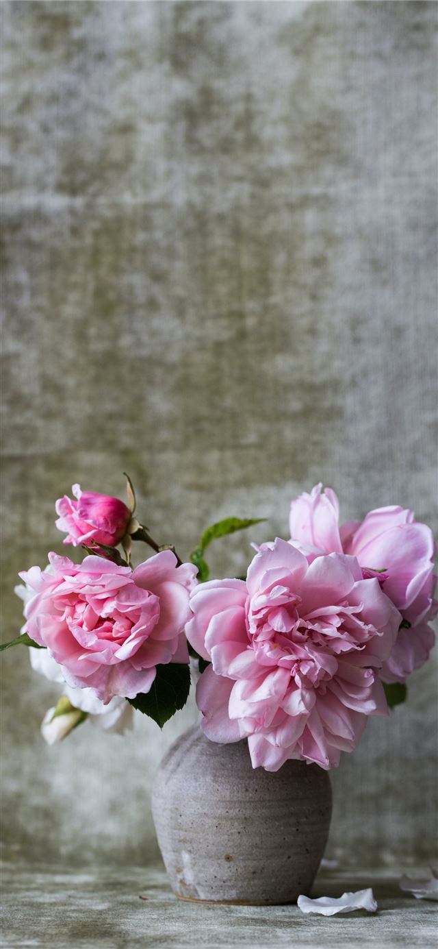 1125x2436 pink flowers on gray ceramic vase - spring iPhone 11 Wallpaper