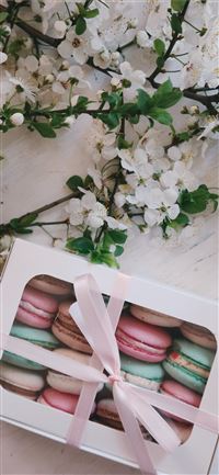 French macarons in white box wallpaper