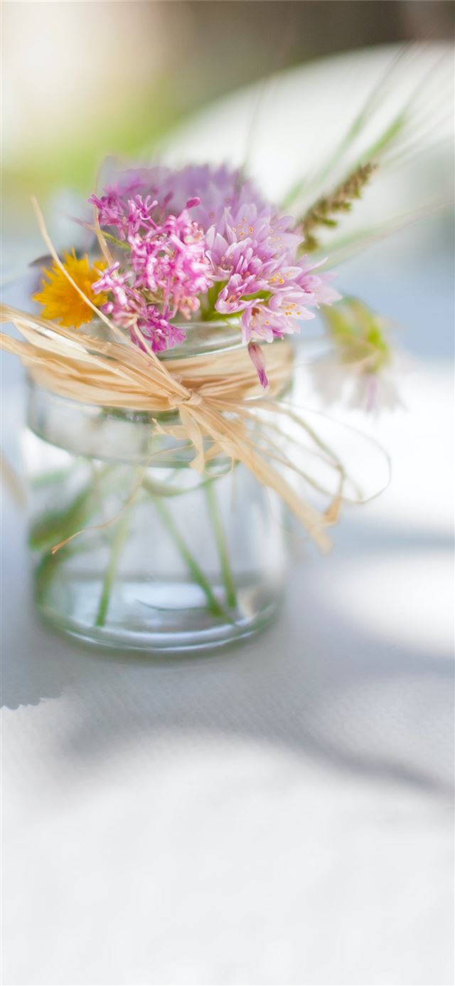 1125x2436 purple petaled flower with vase selective focus ph... - flowers iPhone 11 Wallpaper