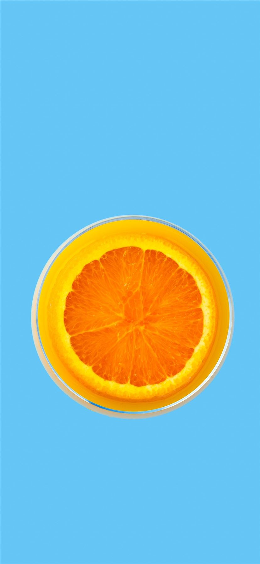 orange fruit vector art iPhone 11 wallpaper 