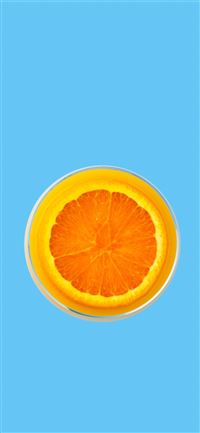 orange fruit vector art iPhone 11 wallpaper