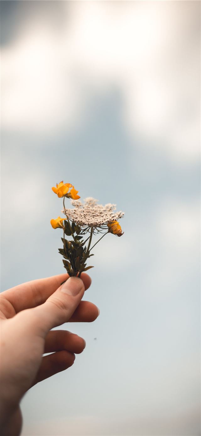 1125x2436 person holding flowers - flowers iPhone 11 Wallpaper