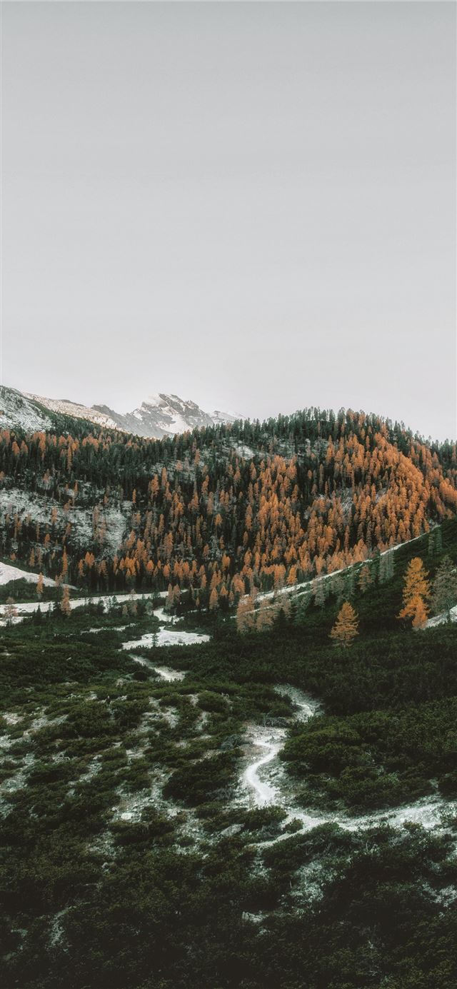 1125x2436 birds eye view of mountains - autumn iPhone 11 Wallpaper