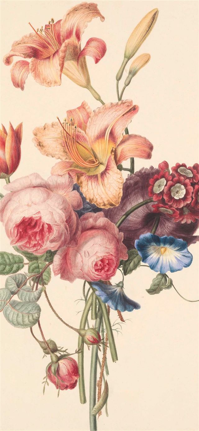 1125x2436 pink and white flower painting - pattern iPhone 11 Wallpaper