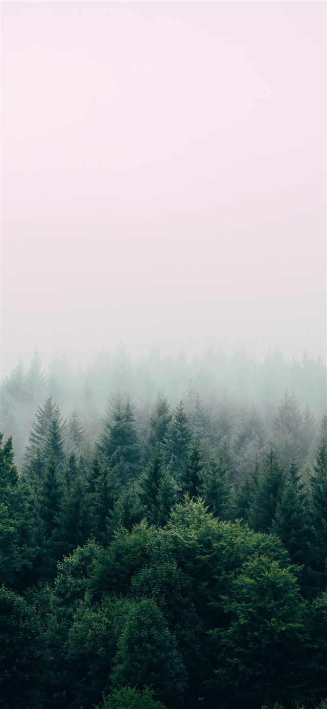 1125x2436 aerial photography of forest - serbia iPhone 11 Wallpaper
