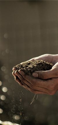 bokeh photography of person carrying soil wallpaper