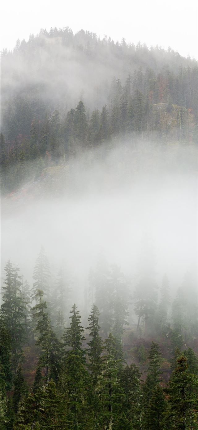 1125x2436 cloud covered mountains - snoqualmie pass iPhone 11 Wallpaper