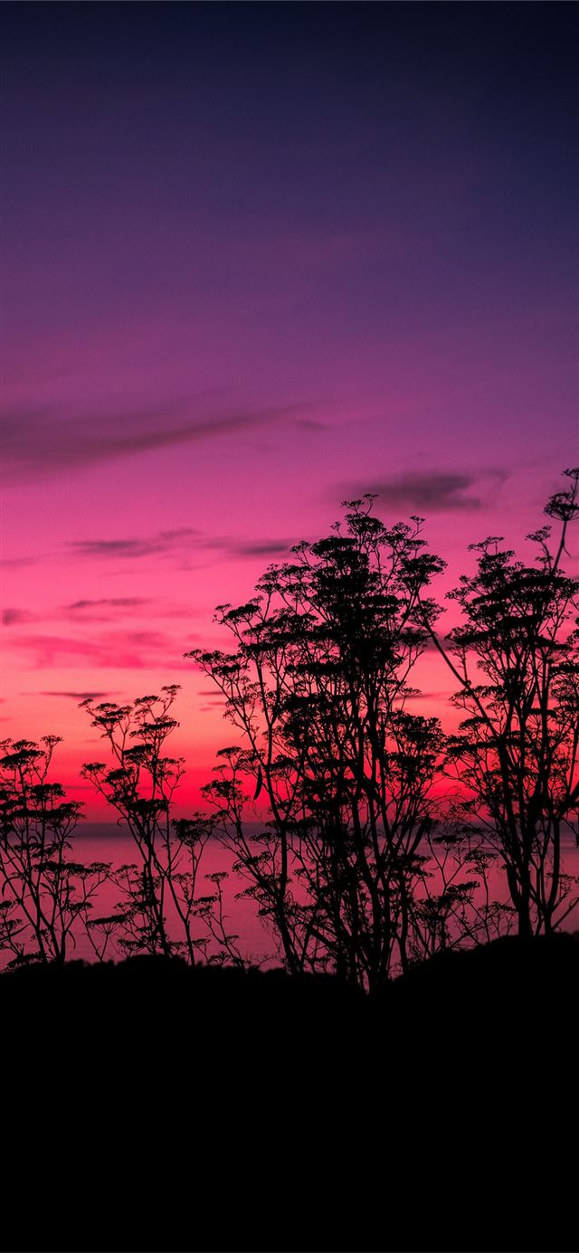1125x2436 pink sunset lake side 5k - lake iPhone 11 Wallpaper