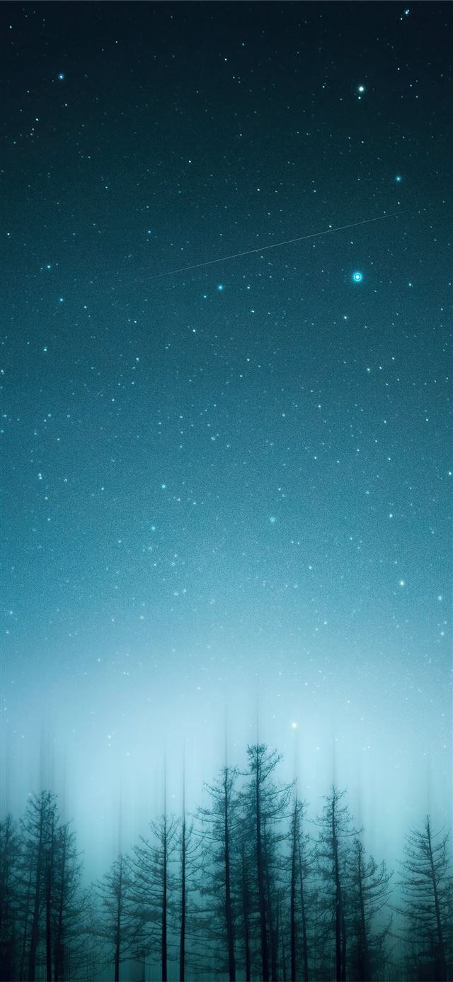 1125x2436 green pine trees under blue sky 4k - trees iPhone 11 Wallpaper