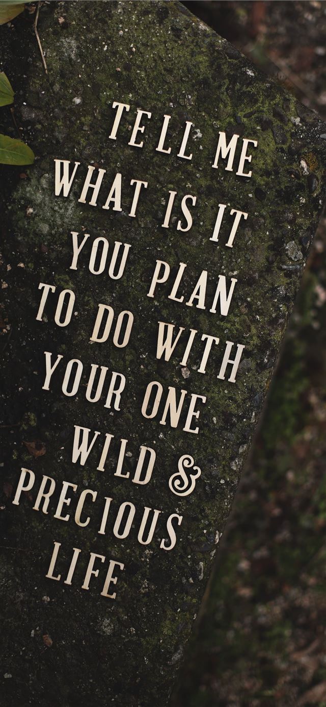 1125x2436 i m not a UNK i m UNK i m UNK - stone iPhone 11 Wallpaper