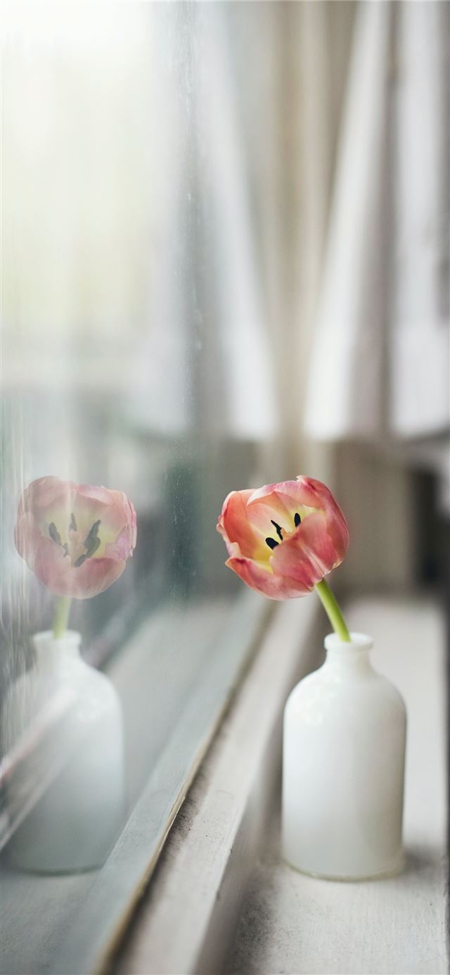 1125x2436 pink petaled flower in white glass bottle - spring iPhone 11 Wallpaper