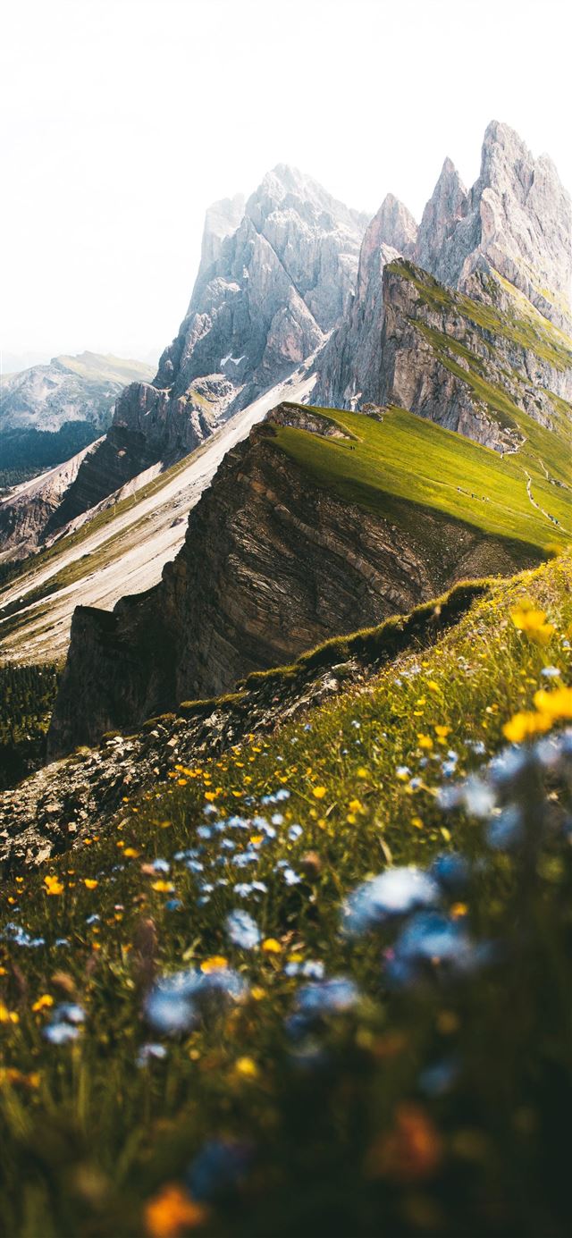 1125x2436 green grass and gray rocky mountain during daytime - mountain iPhone 11 Wallpaper