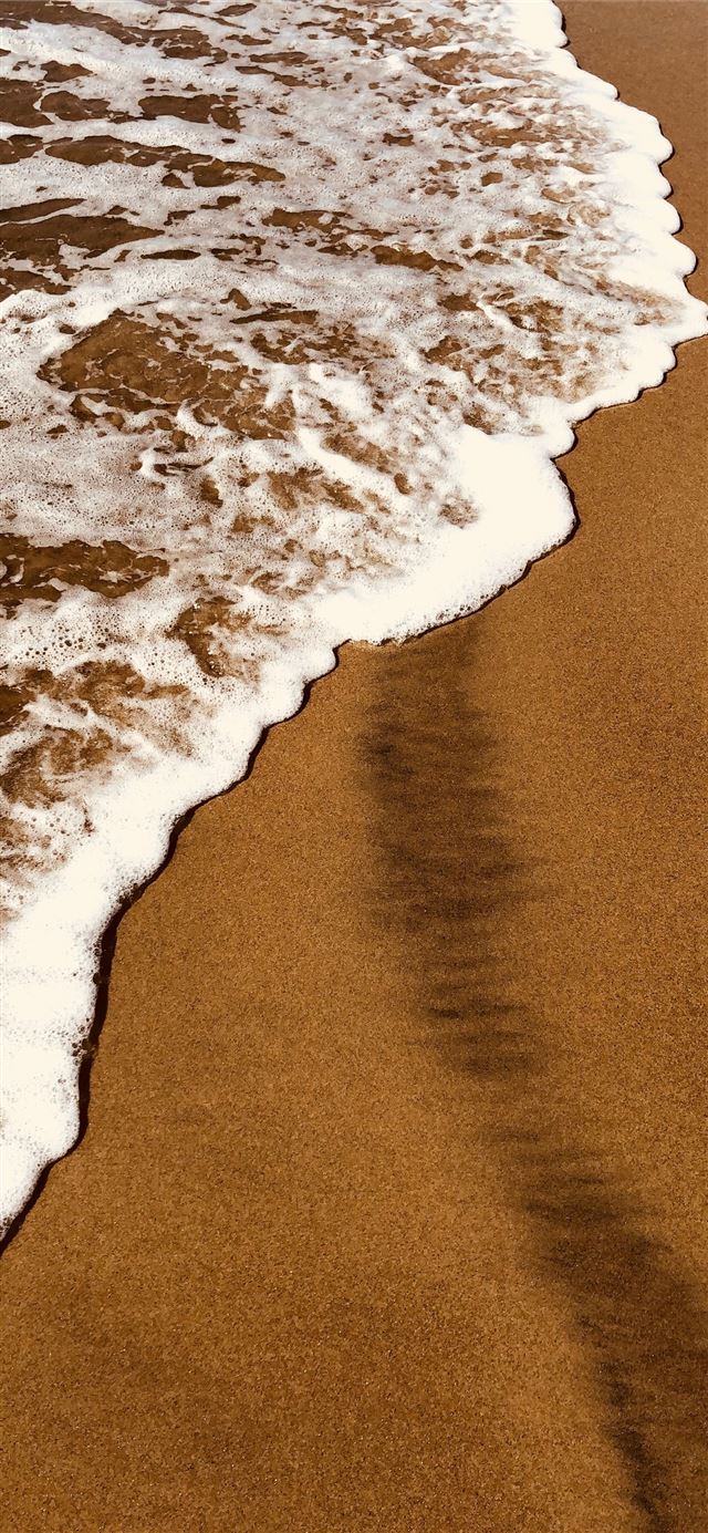 1125x2436 sea shore - brown iPhone 11 Wallpaper