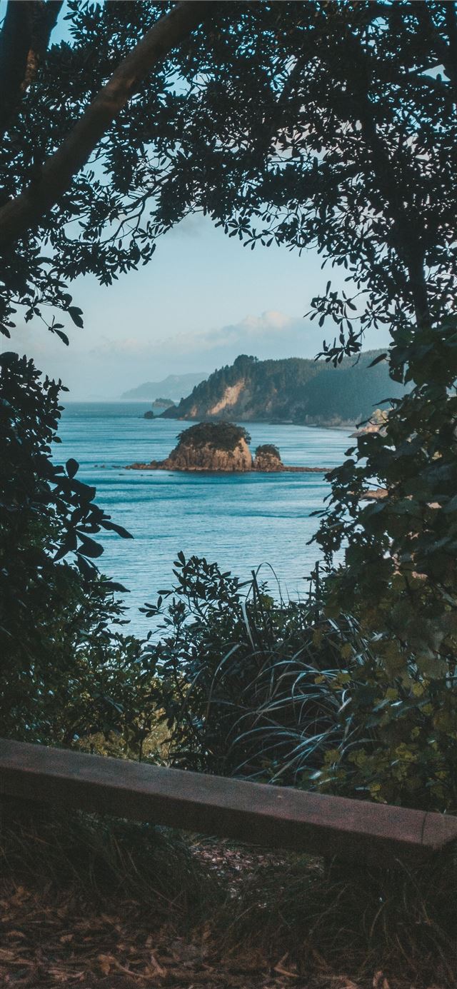 1125x2436 brown bench under trees near sea - ocean iPhone 11 Wallpaper