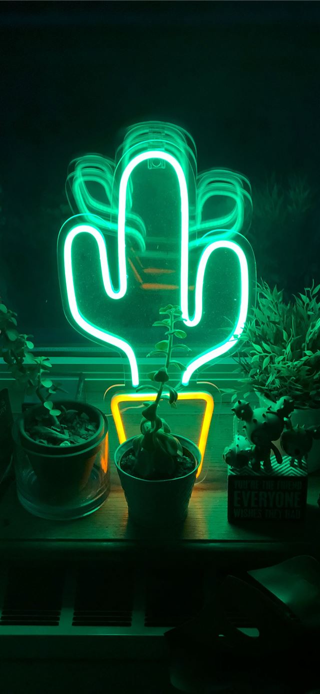 1125x2436 LED cactus neon light on table - new york iPhone 11 Wallpaper