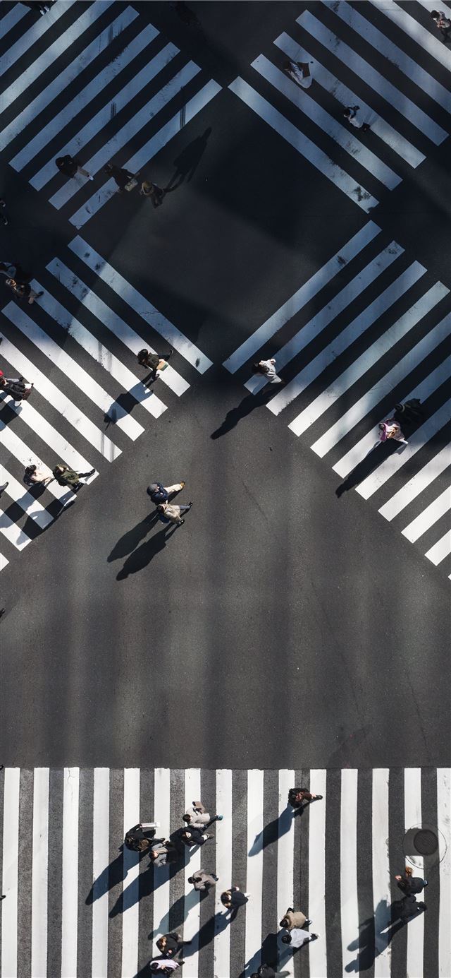 1125x2436 aerial photography of people walking in the inters... - japan iPhone 11 Wallpaper