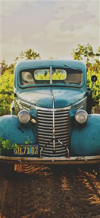 classic blue vehicle between vineyard photo iPhone 11 wallpaper