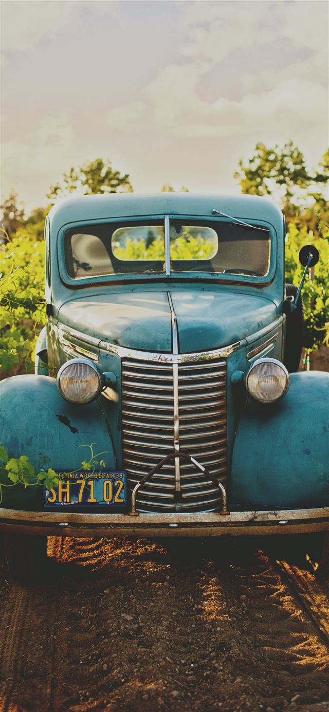 1125x2436 classic blue vehicle between vineyard photo - vintage iPhone 11 Wallpaper