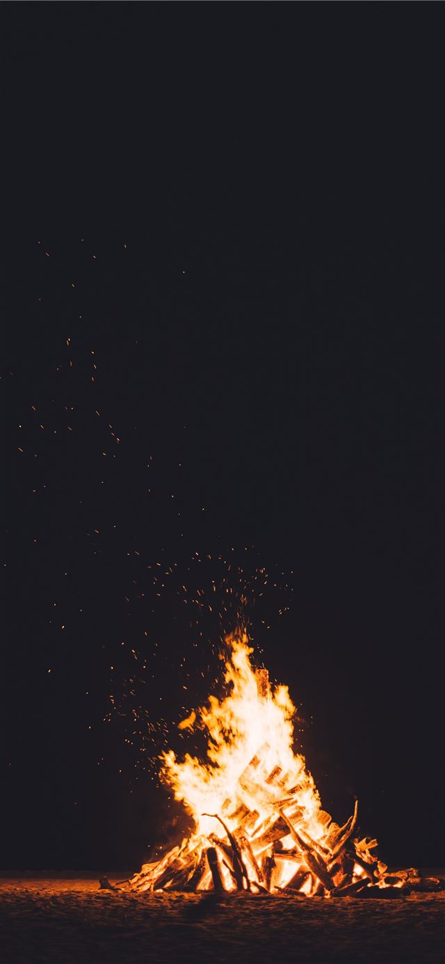 1125x2436 photography of burning camp fire - fire iPhone 11 Wallpaper