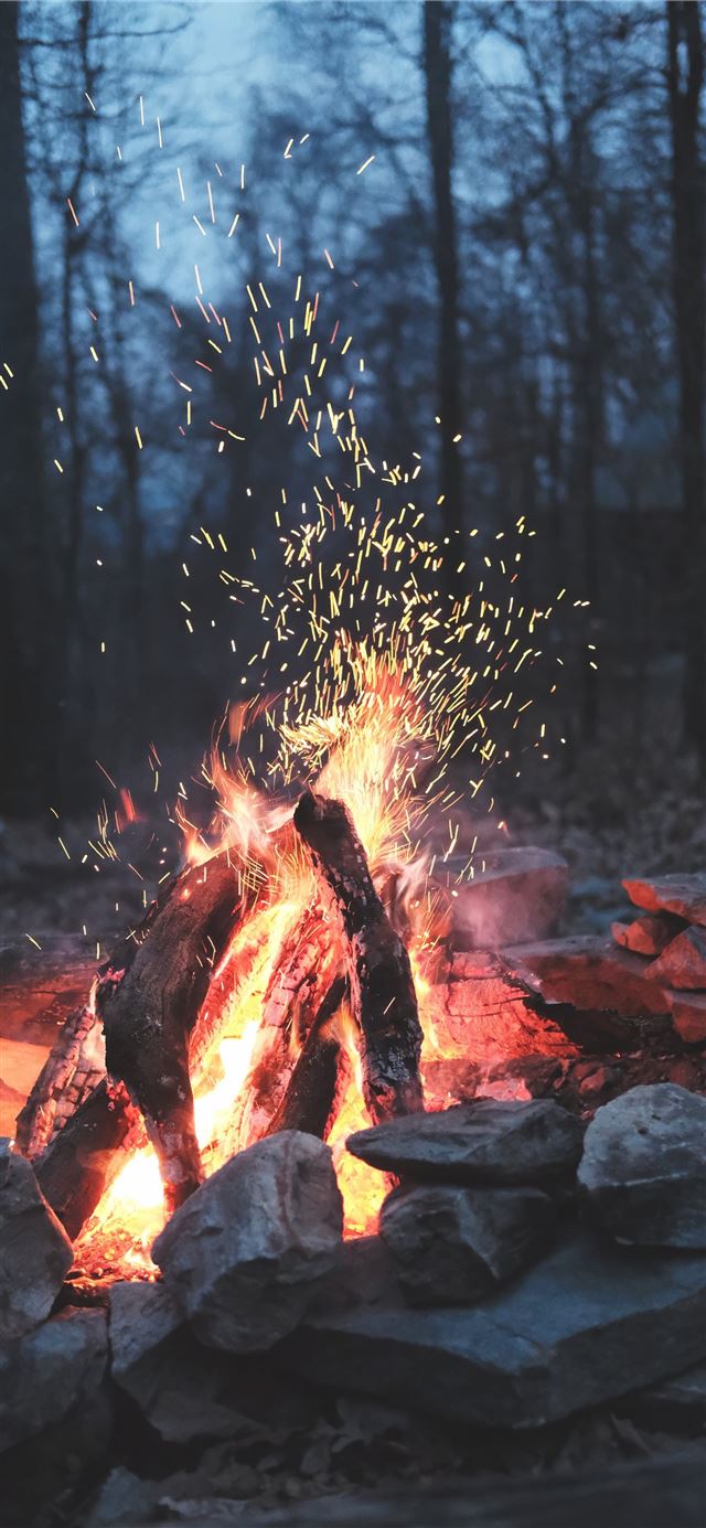 1125x2436 bonfire on forest - fire iPhone 11 Wallpaper