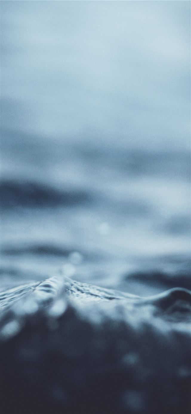 1125x2436 My style of photography is different I have combin... - macro iPhone 11 Wallpaper
