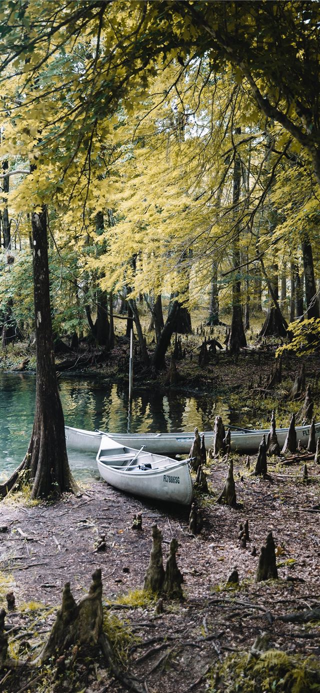 1125x2436 two gray canoes beside green trees - spring iPhone 11 Wallpaper