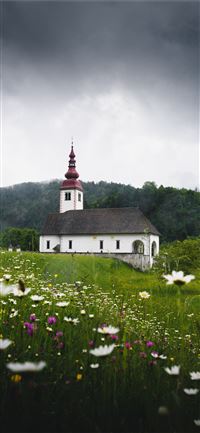 white and black cathedral surrounded by grass wallpaper