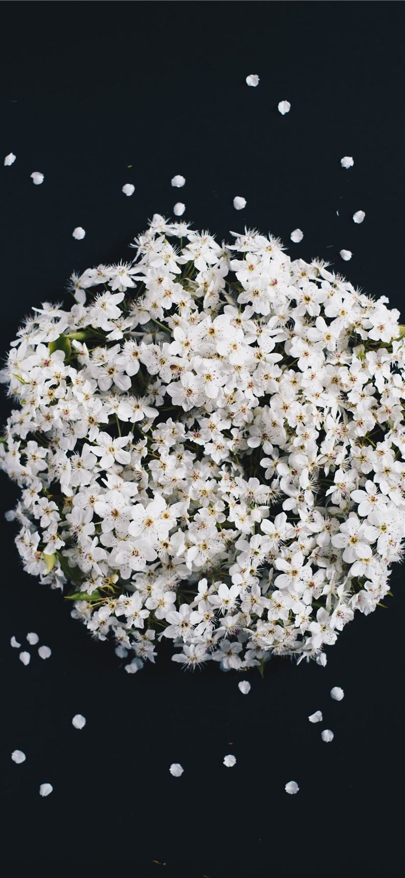 white flower bouquet iPhone 11 wallpaper 