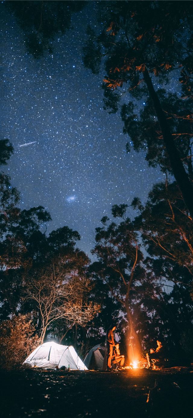 1125x2436 person sitting near bonfire surrounded by trees - star iPhone 11 Wallpaper